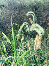 Wild Grass Earrings