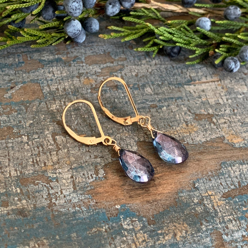 Gem Drop Earrings / Blue